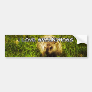 I love groundhogs bumper sticker autoaufkleber
