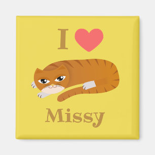 I love my cat magnet