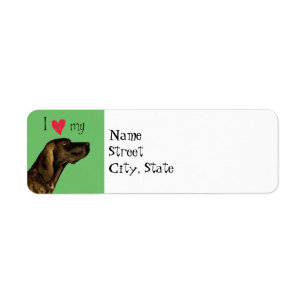 I Love my Plott Hound