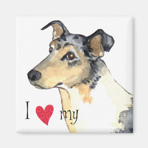 I Love my Smooth Collie Magnet