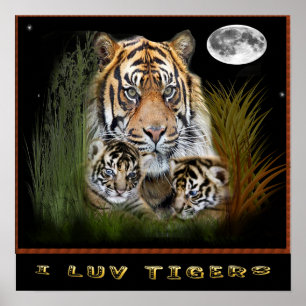 I love tigers posters poster