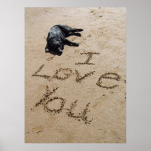 I love you beach and dog poster huge