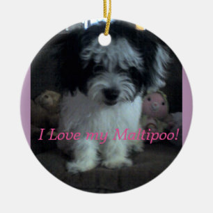 I Lovee mein Maltipoo! Verzierung Keramikornament