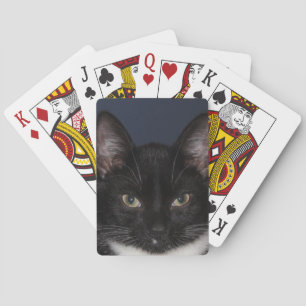 I LUV CATZ SPIELKARTEN