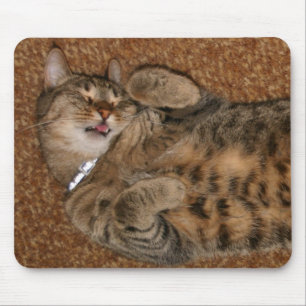 I', m solch eine niedliche Katze Mousepad