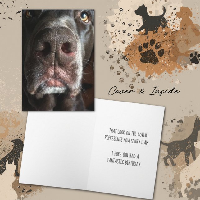 I’m Sorry Chocolate Lab Snout Belated Birthday Karte (Chocolate Lab close-up snout photograph cover and inside template text greeting card)