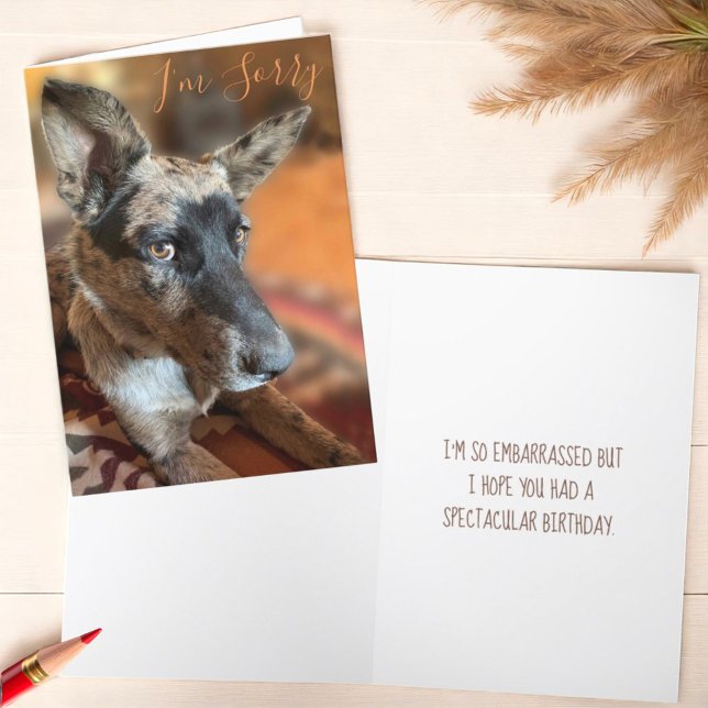 I’m Sorry Side Eye Cattle Dog Belated Birthday Karte (Template text cover and inside greeting card)