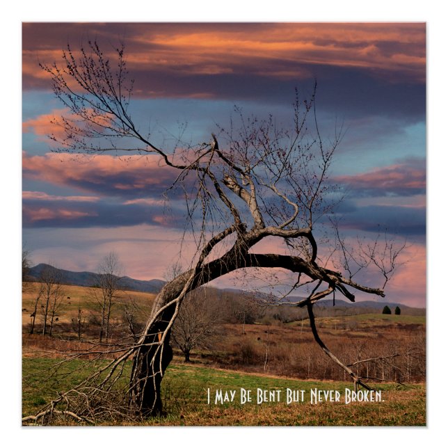 I May Be Bent But Never Broken  Poster (Vorderseite)