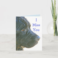 "I Miss You" Schöner, traurig aussehender Newfie D
