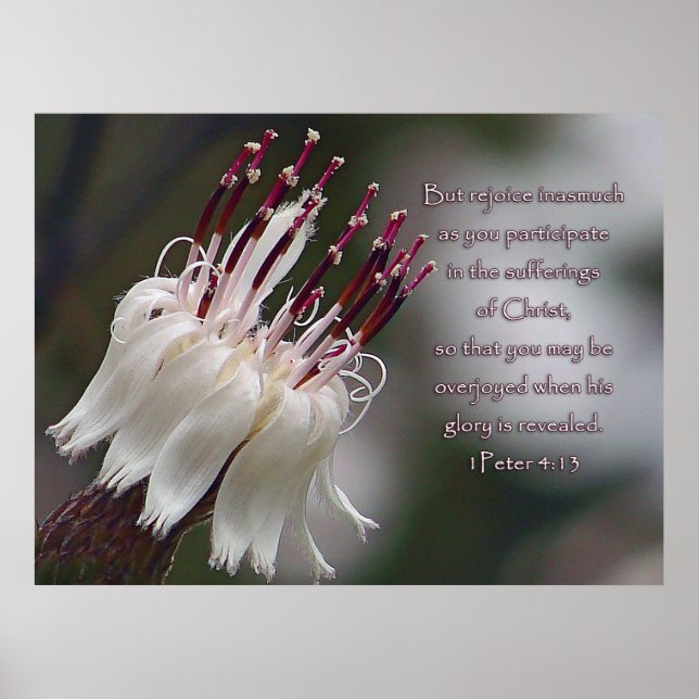 I Peter 4:13 Inspirationsblume Poster (Vorne)