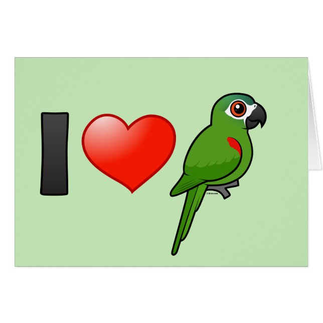I Rot-schulterte Liebe Macaws (Vorderseite (Horizontal))