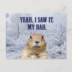 I Saw It Groundhog Day Postkarte