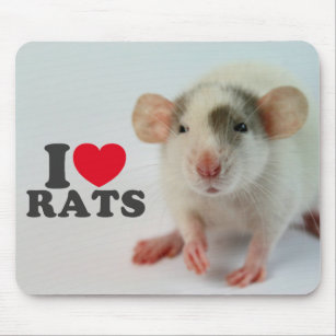 I schließt (dumbo) Ratten auf Mousepad