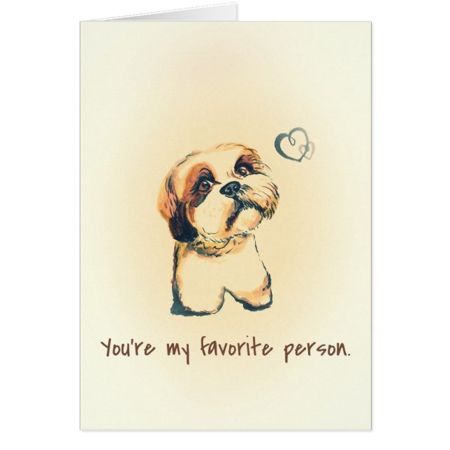 I Shih tzu nicht (Vorne)