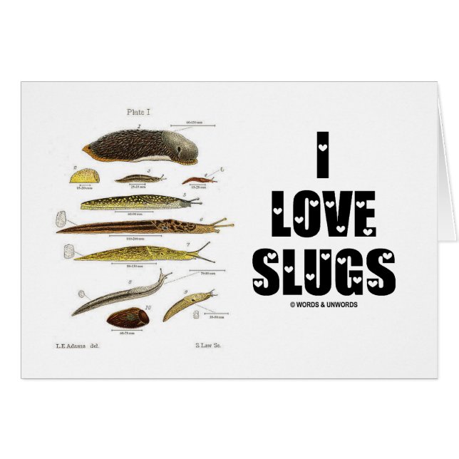 I Slugs Liebe (Naturwissenschaftler/Natur) (Vorderseite (Horizontal))