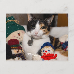 I Spy A Calico Danke Postcard Postkarte