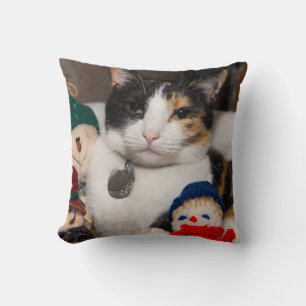 I Spy A Calico Kissen