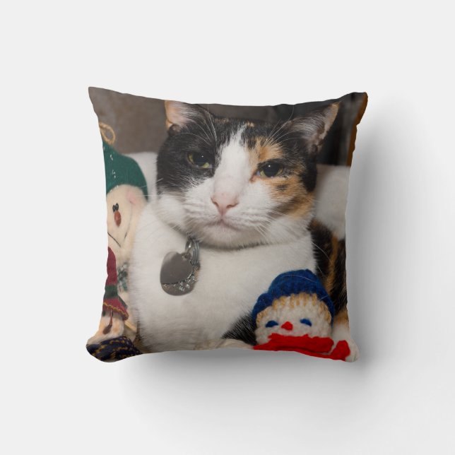 I Spy A Calico Kissen (Vorderseite)
