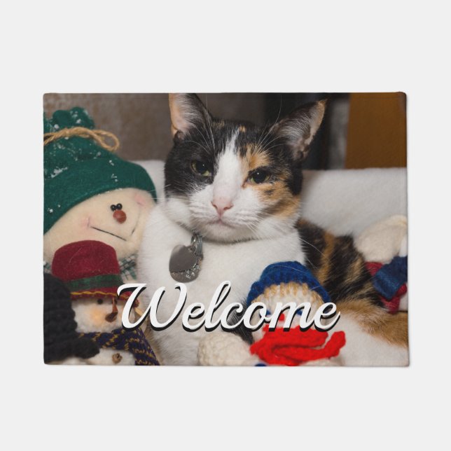 I Spy A Calico Willkommen Doormat Fußmatte (Vorderseite)