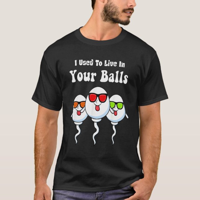 I Used To Live in Your Balls Funny, Silly Father's T-Shirt (Vorderseite)