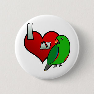 I versah Liebe mein Rot Eclectus mit Seiten Button