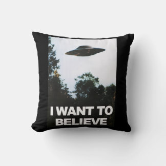 I want to believe kissen