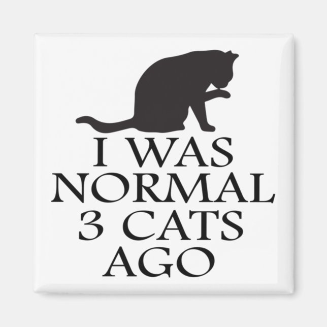 i-was-normal-3-cats-vor-lustig-cat magnet (Vorne)