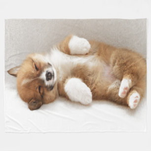 I WIRD GEKACKT FLEECEDECKE