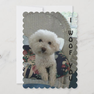 I Woof You Card Feiertagskarte