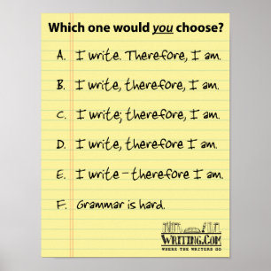 I Write... Therefore? Poster