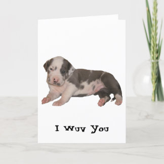 I Wuv Sie Karte