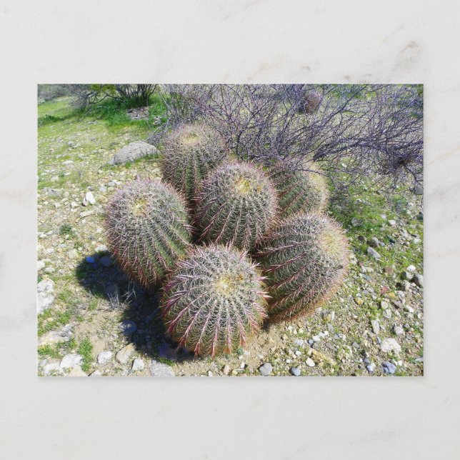 I X POSTKARTE (Vorderseite)