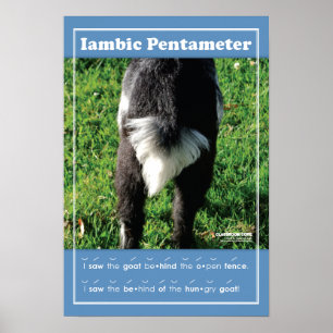 Iambic Pentameter 13" x 19" Klassenraum-Poster Poster