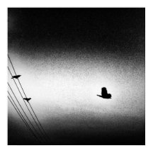 Ianiverse Noir (Die Mission)