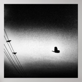 Ianiverse Noir (Die Mission) Poster