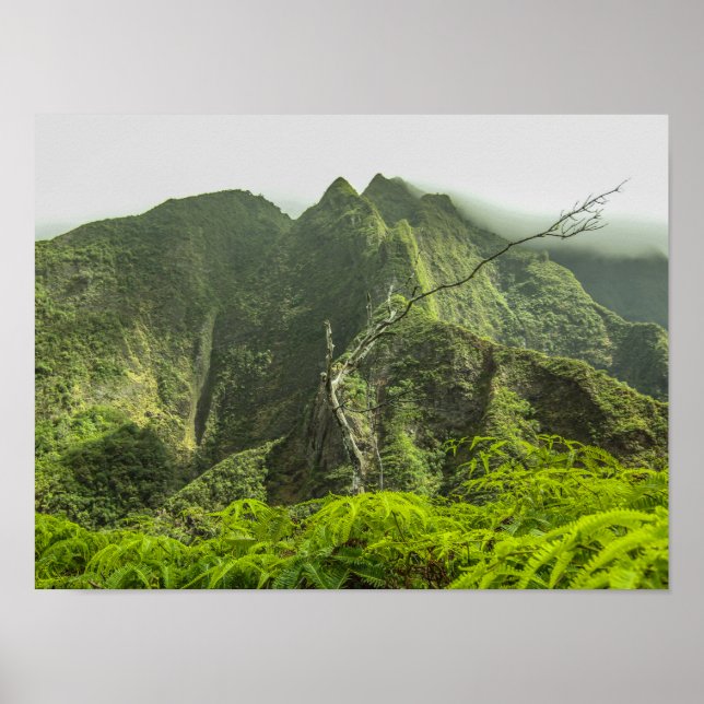 Iao Valley Poster (Vorne)