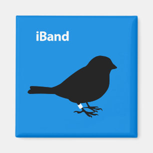 iBand Blau Magnet