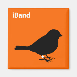 iBand Magnet
