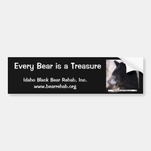 IBBR Autoaufkleber - Ruggles