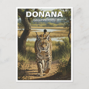 Iberischer Luchs im Donana Nationalpark Postkarte