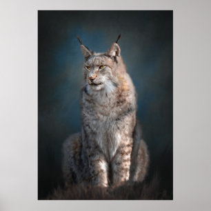 Iberischer Luchs sitzen Poster