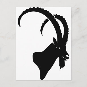 Ibex capricorn steinbock Bergziege Klettern Postkarte
