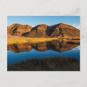 Ibex Hills Reflektion Postkarte
