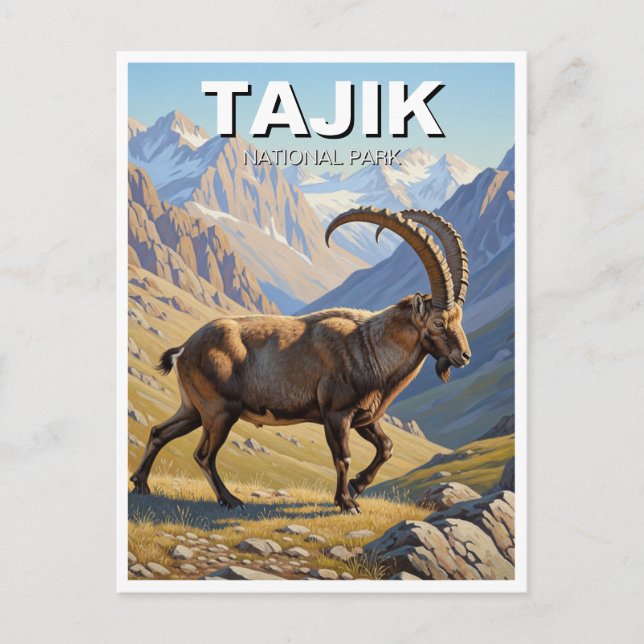 Ibex in Tadschikischer Nationalparkreise Postkarte (Vorderseite)