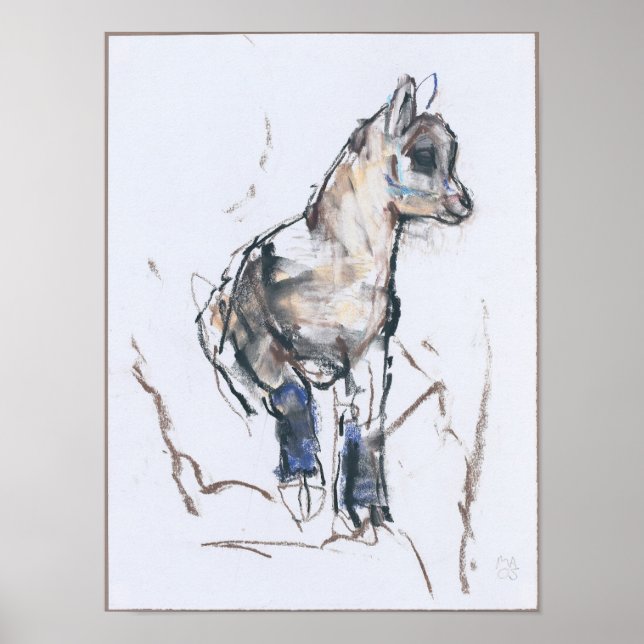 Ibex Kid Poster (Vorne)