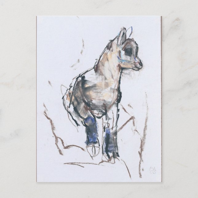 Ibex Kid Postkarte (Vorderseite)