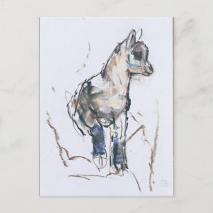 Ibex Kid Postkarte
