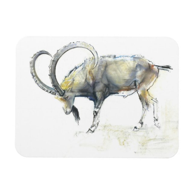 Ibex Nubian 2008 Magnet (Horizontal)