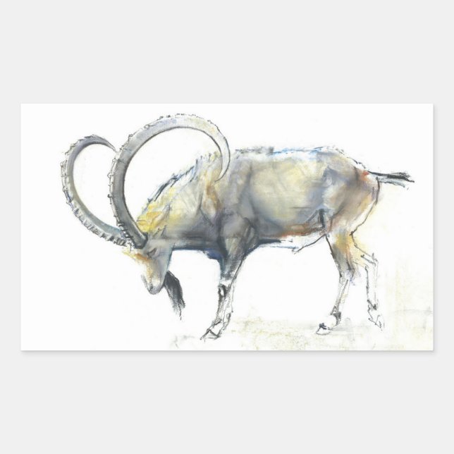 Ibex Nubian 2008 Rechteckiger Aufkleber (Vorderseite)