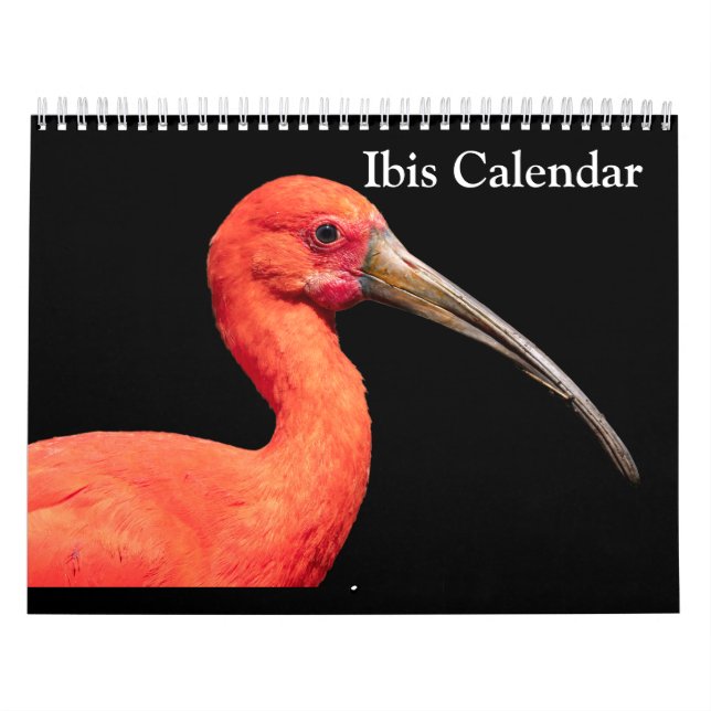 Ibis 2027 Kalender (Titelbild)